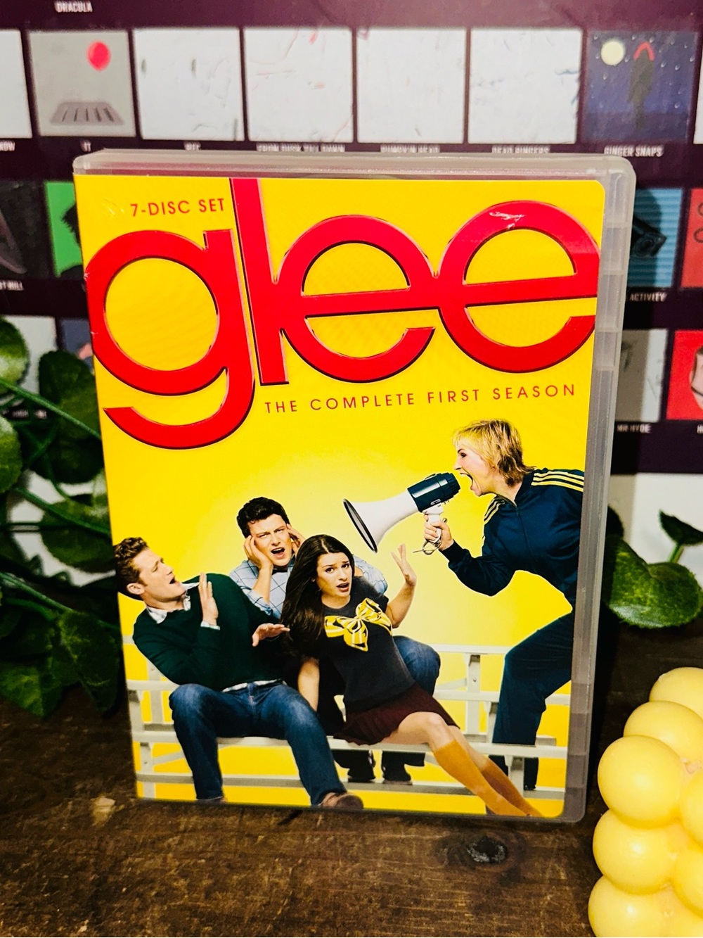 Glee The Complete First Season 1 DVD Set